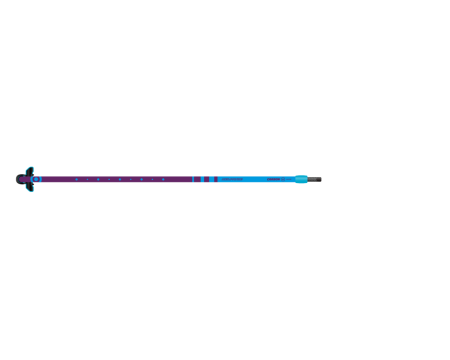 Neilpryde Carbon  25 2026