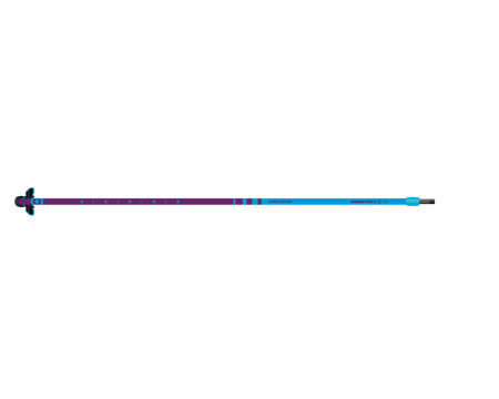 Neilpryde Carbon  26 E 2026