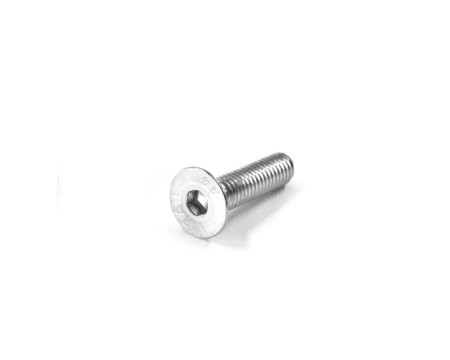 Vis allen M6 inox